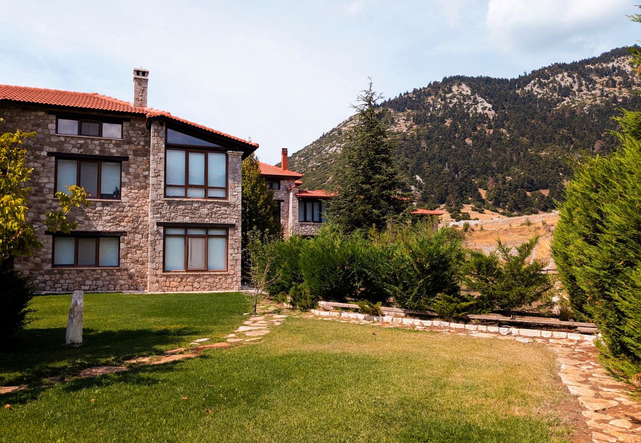 Villa in Arachova - Mountain Trails Chalet-Three Story Escape Parnassos-Livadi- Arachova